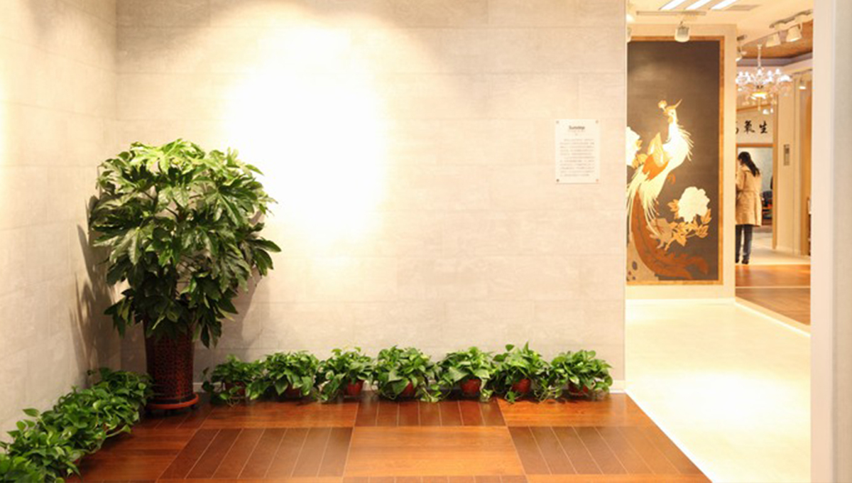 創(chuàng)新發(fā)展，永不止步 4