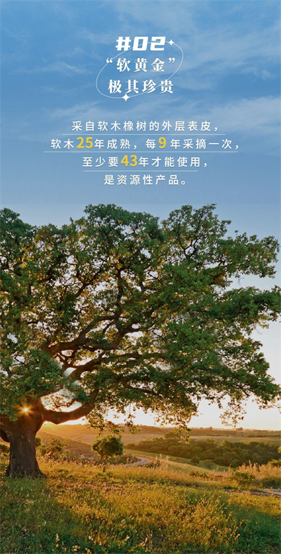 無懼挑剔眼光，裝飾材料的天花板！ image4